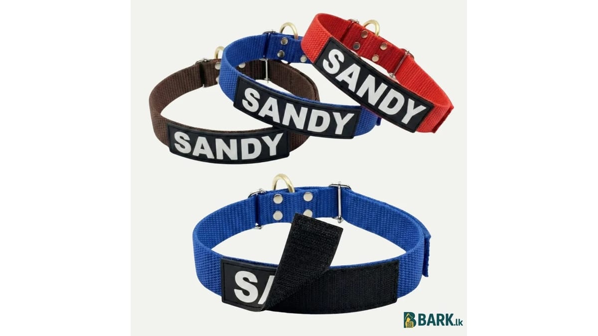 Black, blue, red and brown nylon dog collars with removable name patches reading Sandy