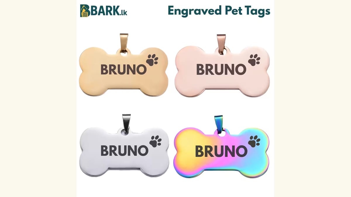 Four bone-shaped laser engraved pet tags reading Bruno, in gold, rose gold, silver and rainbow finishes