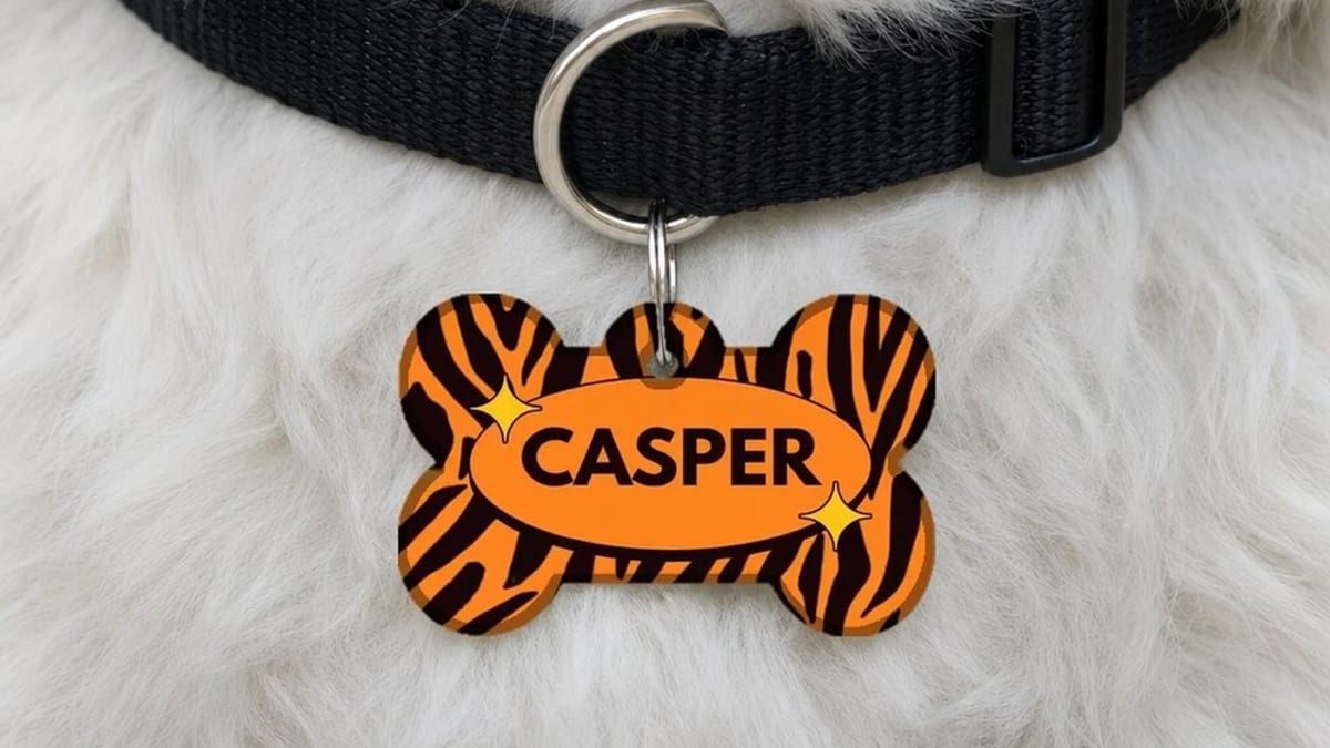 Orange tiger-pattern bone-shaped pet name tag printed with the name Casper, on a white dog’s collar