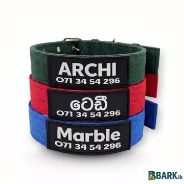 Customized Pet Collars for Dogs: Large