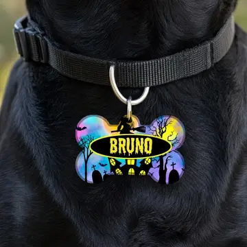Customized Pet Tags for Cats & Dogs Halloween Flying Witch Style