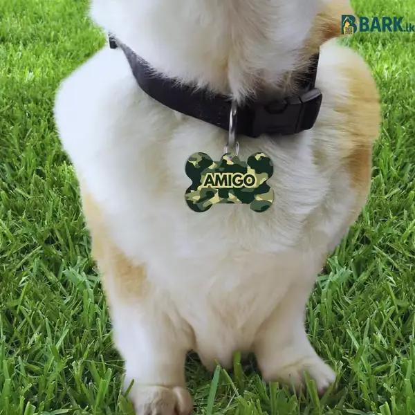 Printed camouflage bone tag with the name Amigo on a dog’s collar