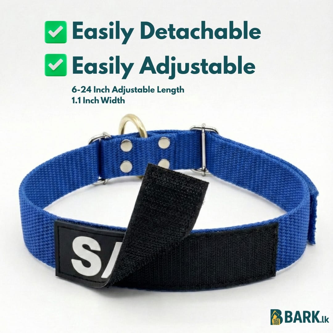 Customized Pet Collars for Dogs: Medium — view 2