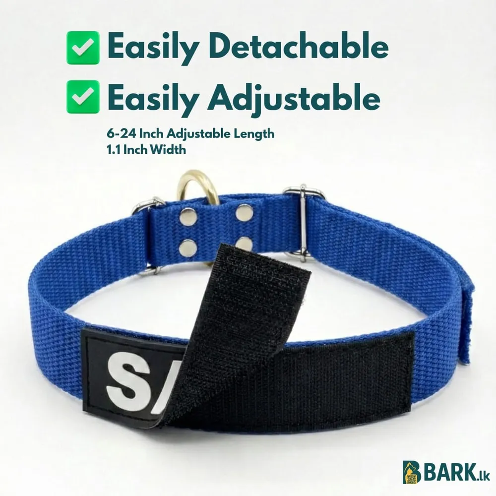 Customized Pet Collars for Dogs: Medium — view 2