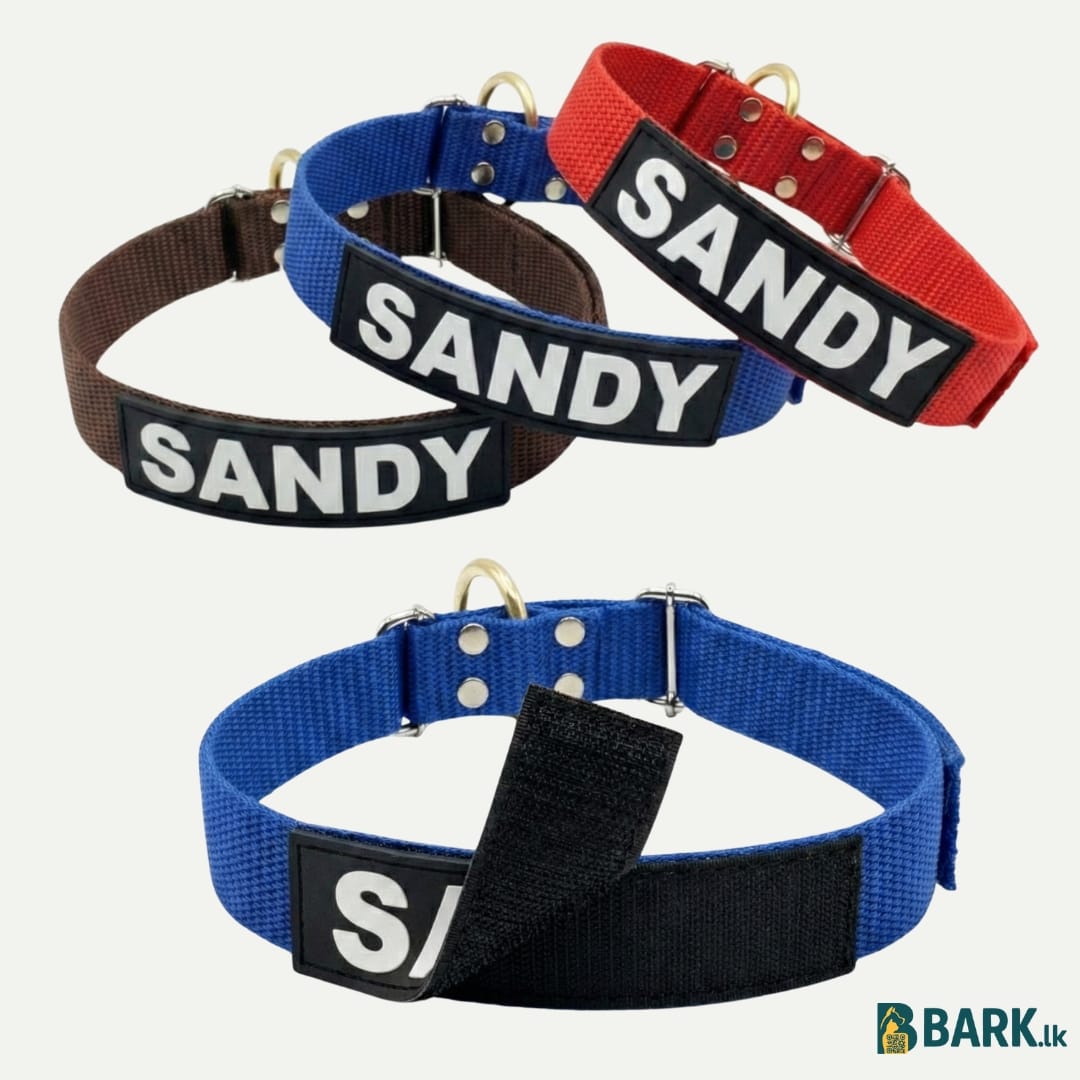 Customized Pet Collars for Dogs: Medium