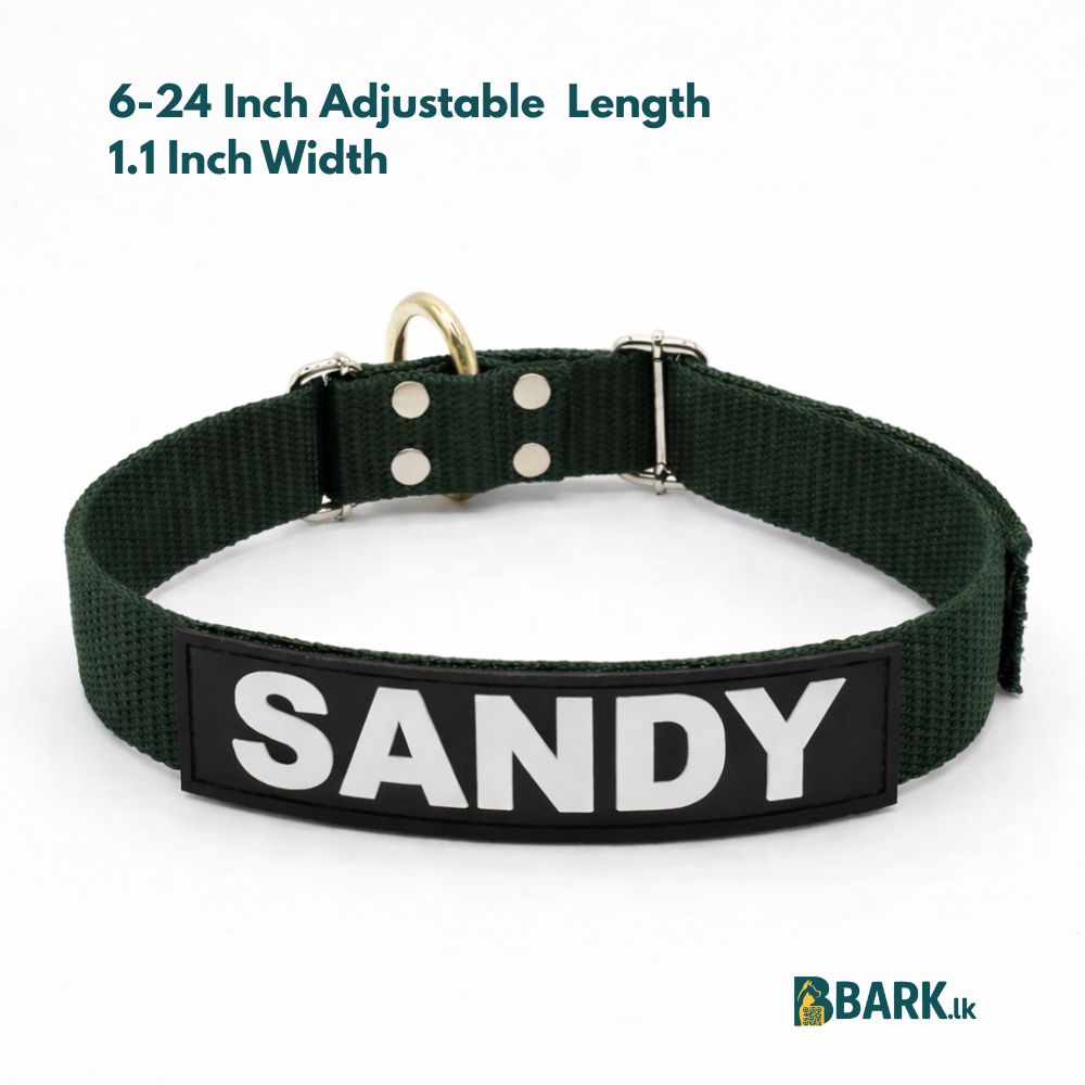 Customized Pet Collars for Dogs: Medium — view 3