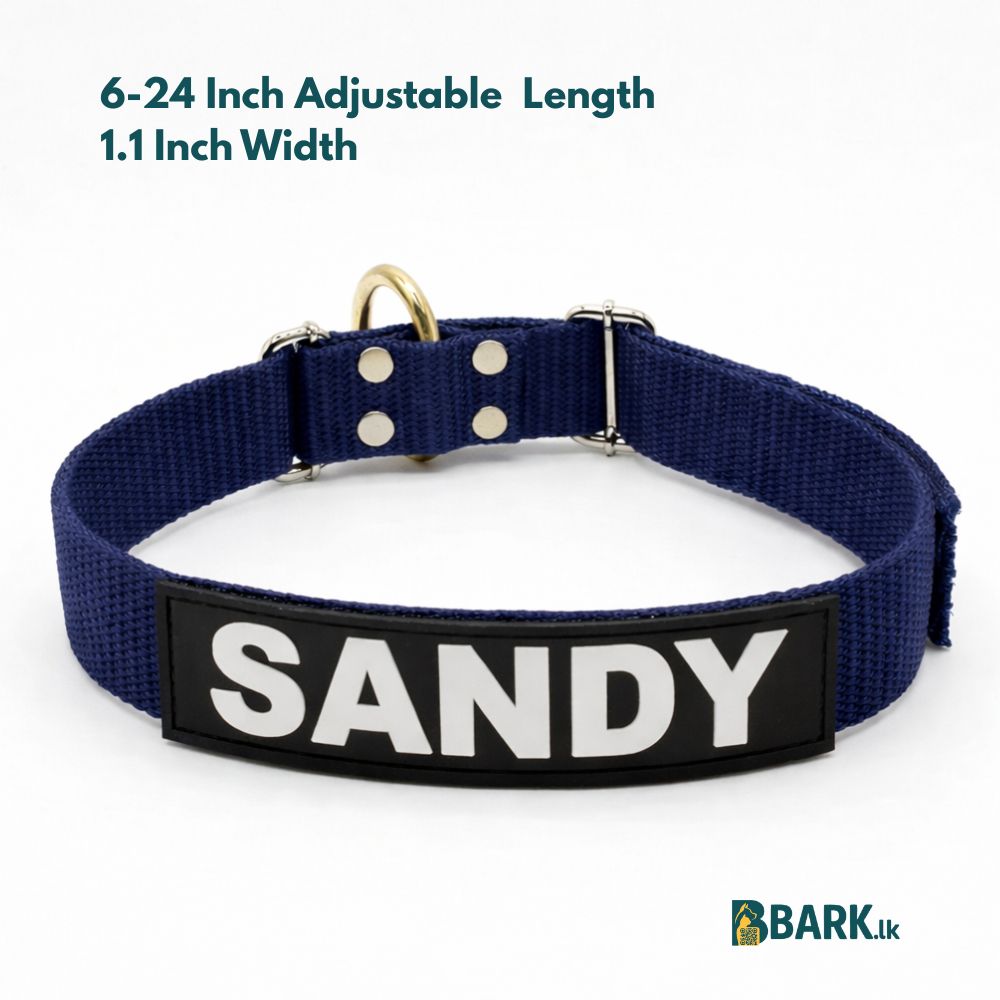 Customized Pet Collars for Dogs: Medium — view 4