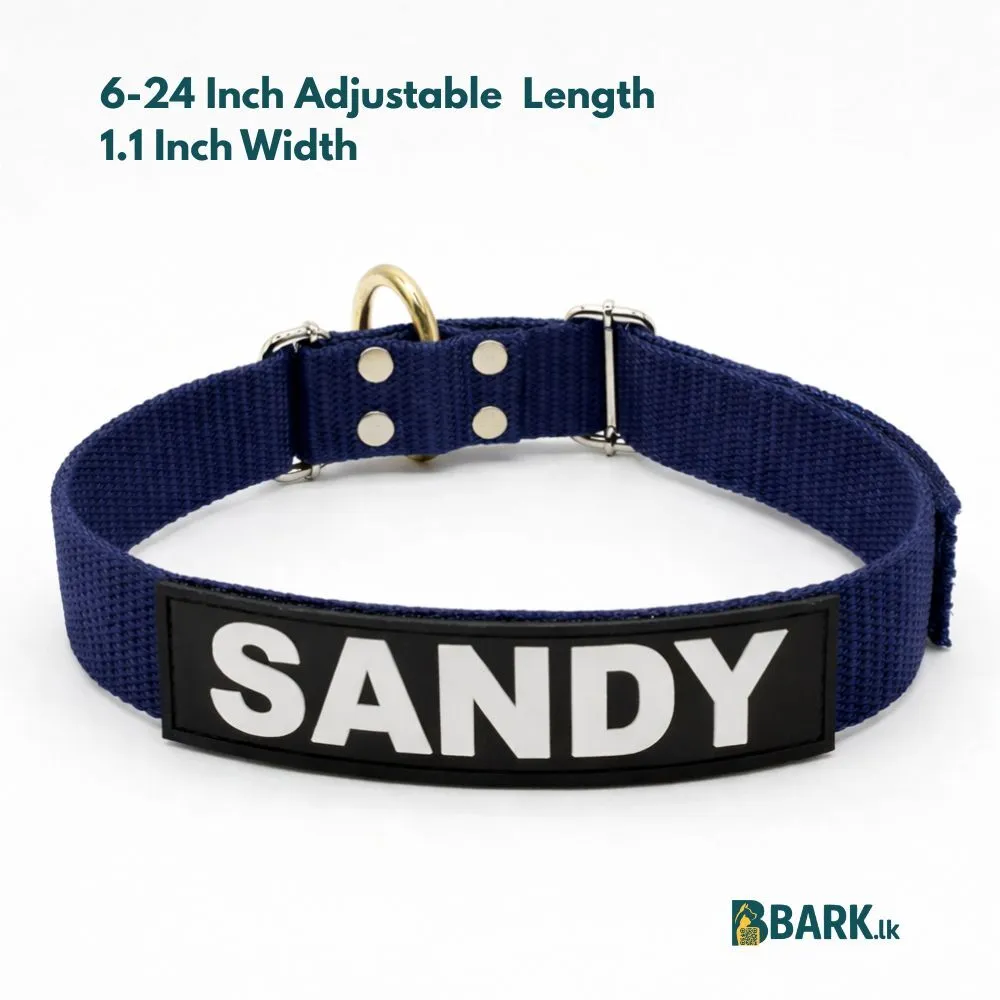 Customized Pet Collars for Dogs: Medium — view 4