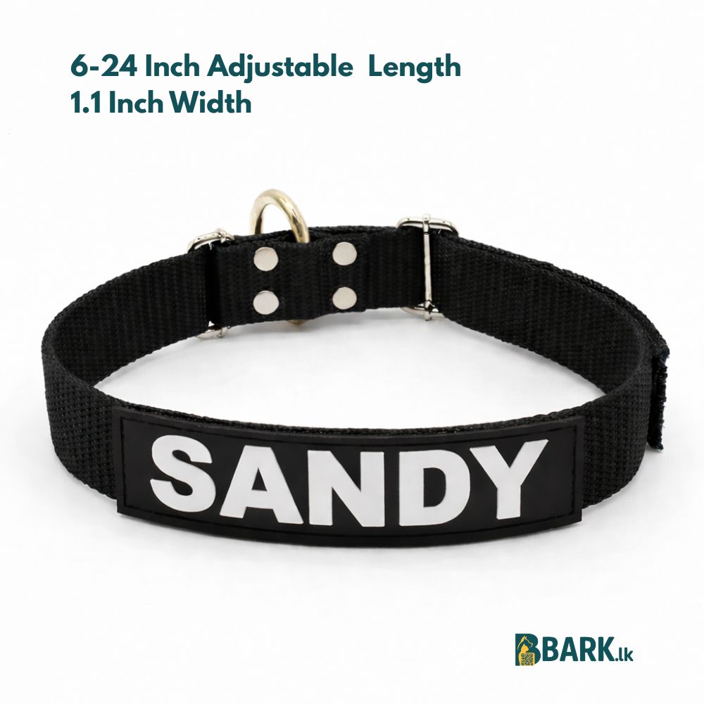 Customized Pet Collars for Dogs: Medium — view 5
