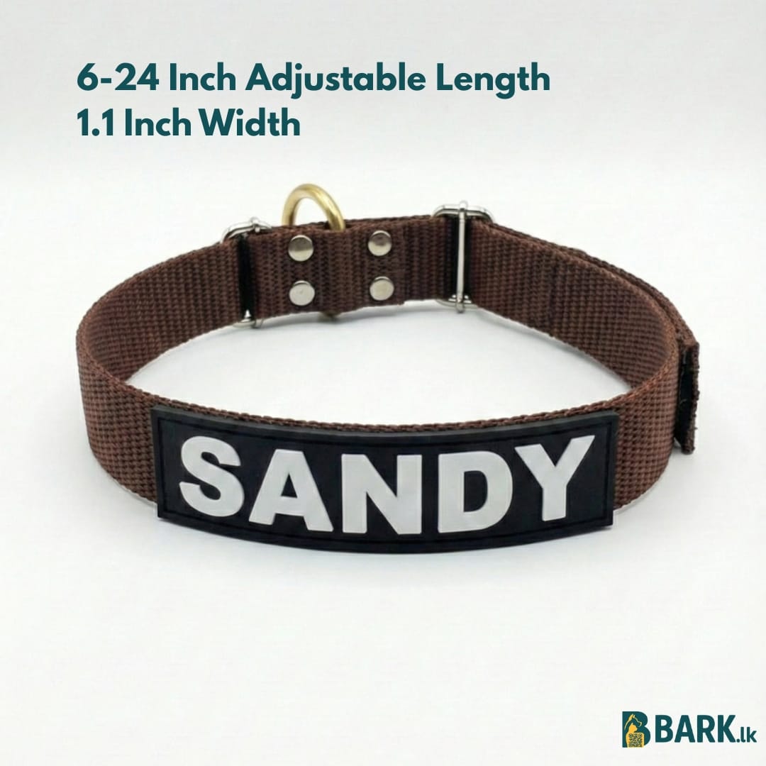 Customized Pet Collars for Dogs: Medium — view 11
