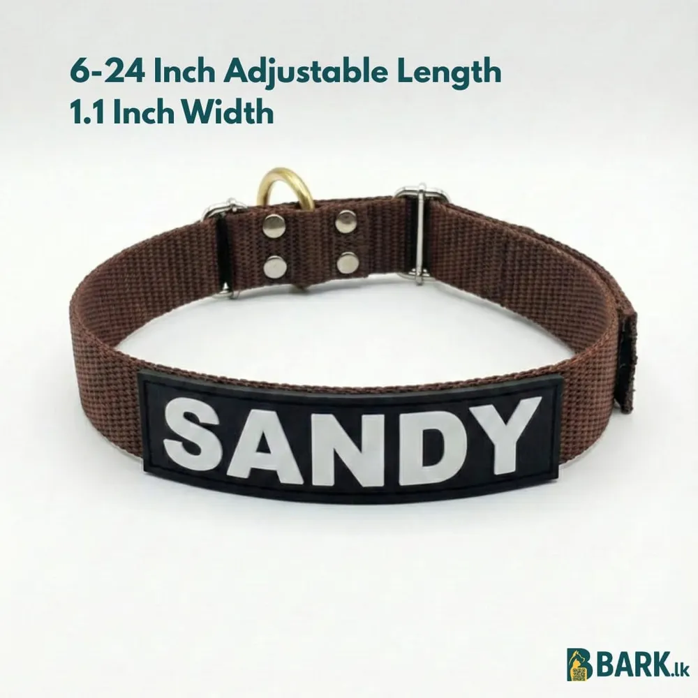 Customized Pet Collars for Dogs: Medium — view 11
