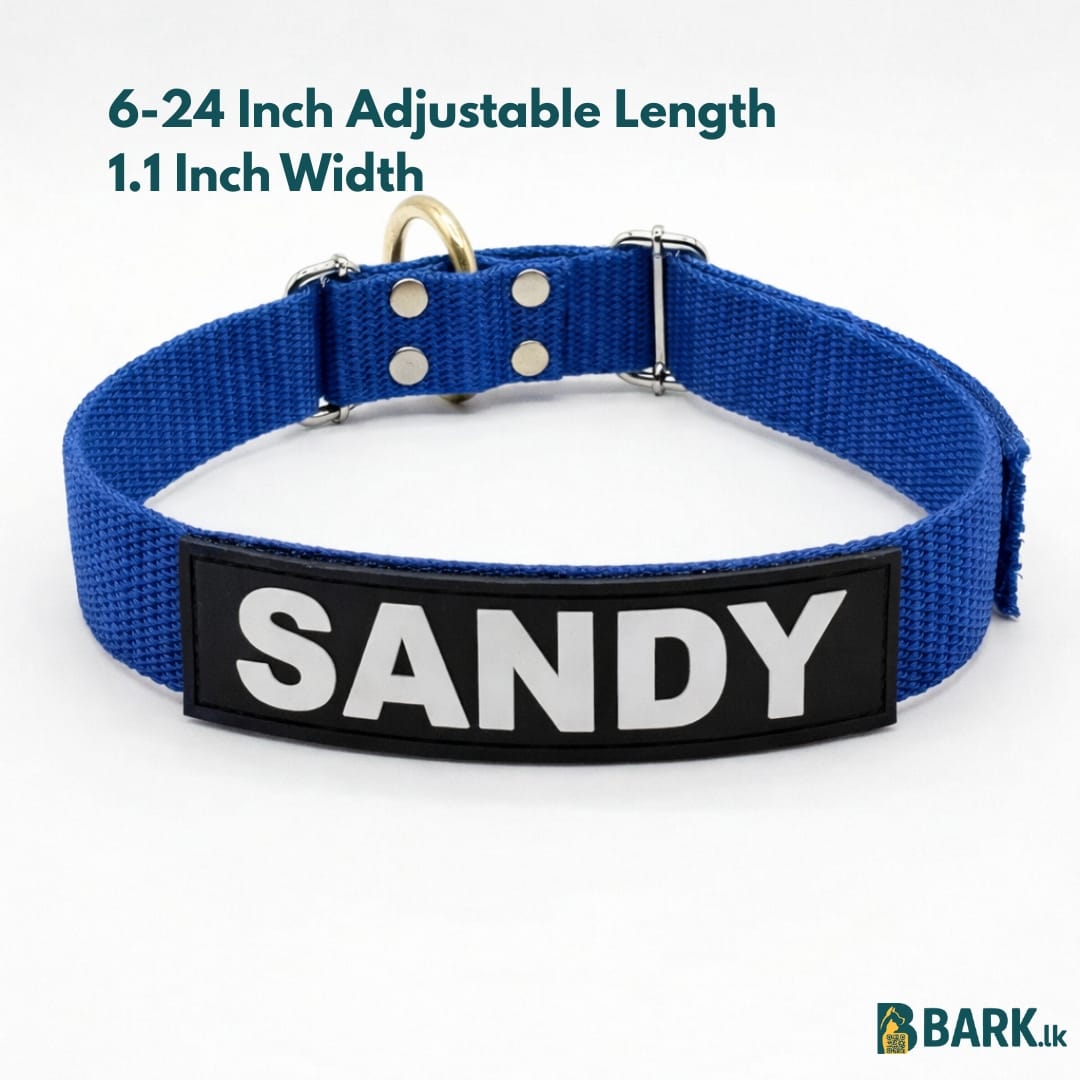 Customized Pet Collars for Dogs: Medium — view 12