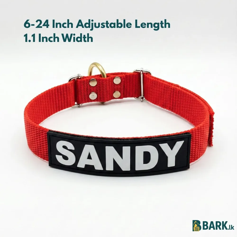 Customized Pet Collars for Dogs: Medium — view 13