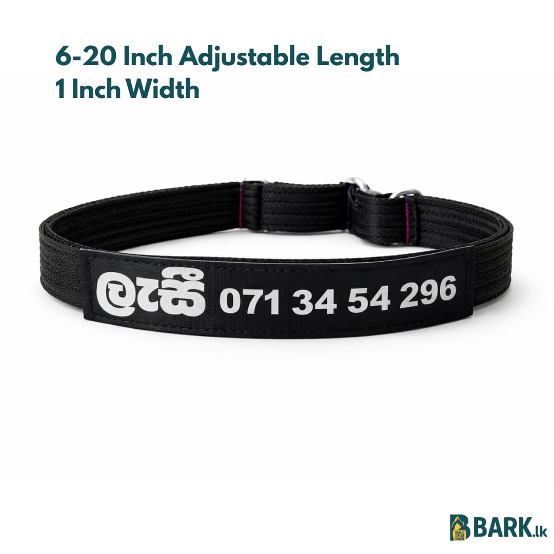 Customized Pet Collars for Dogs: Small — view 2