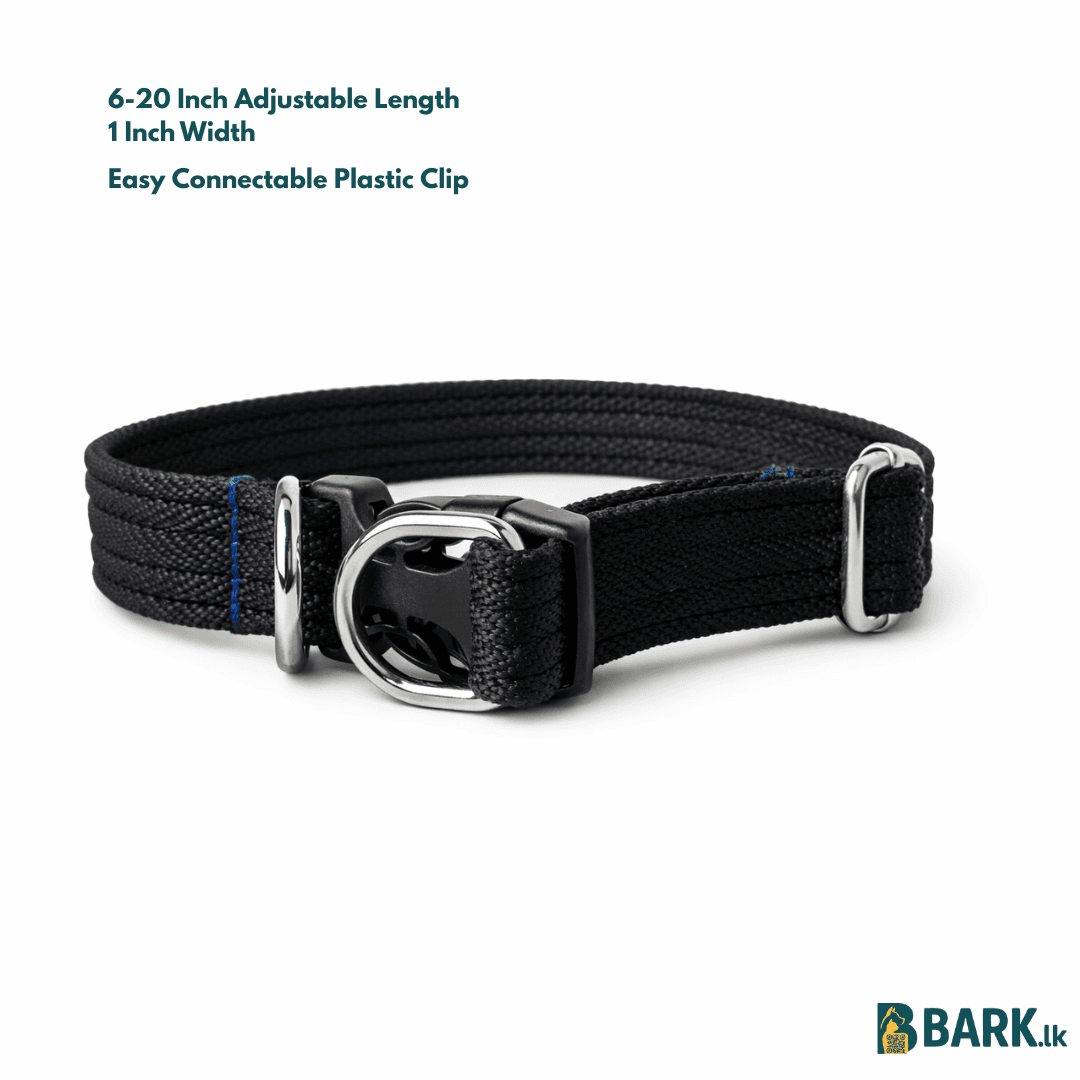 Customized Pet Collars for Dogs: Small — view 3
