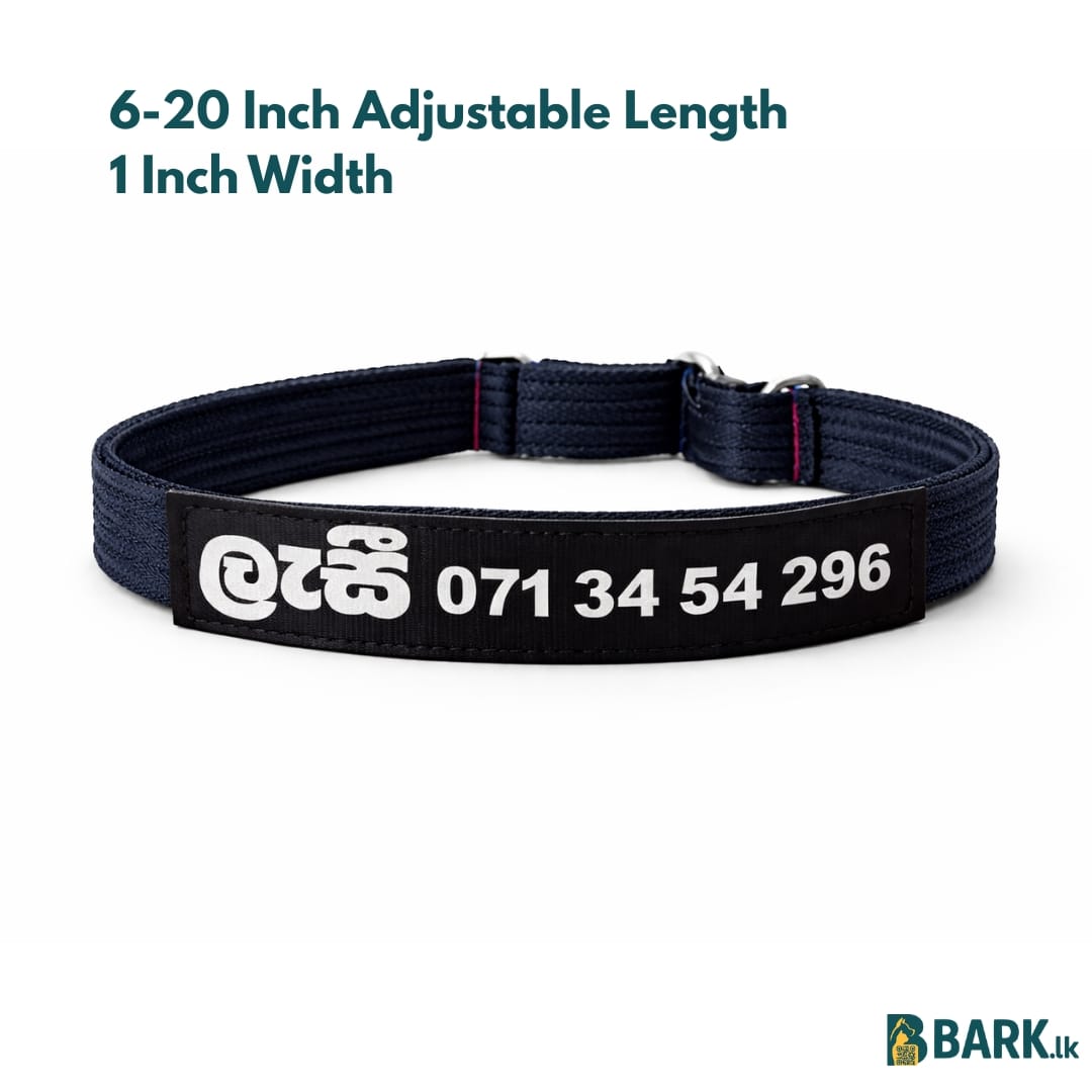 Customized Pet Collars for Dogs: Small — view 4