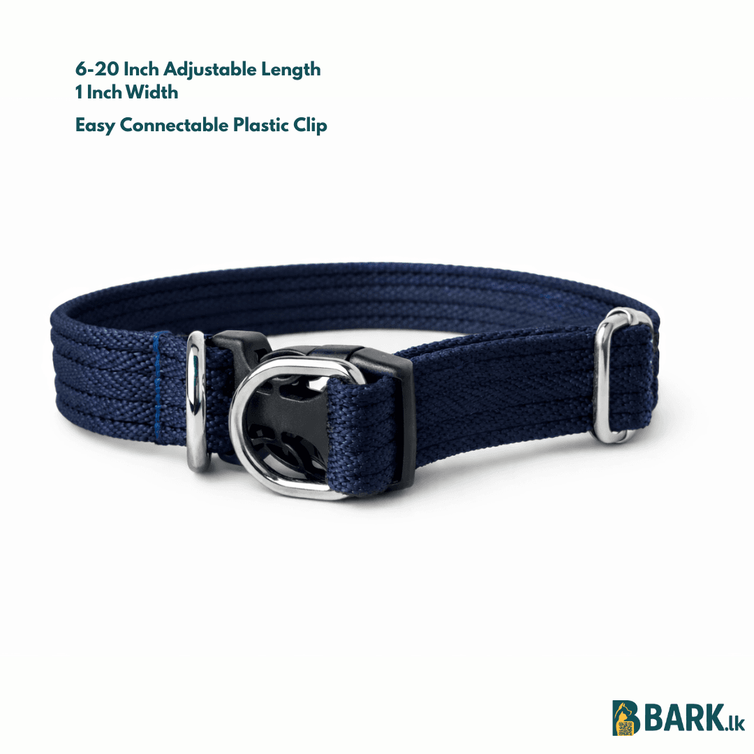 Customized Pet Collars for Dogs: Small — view 5