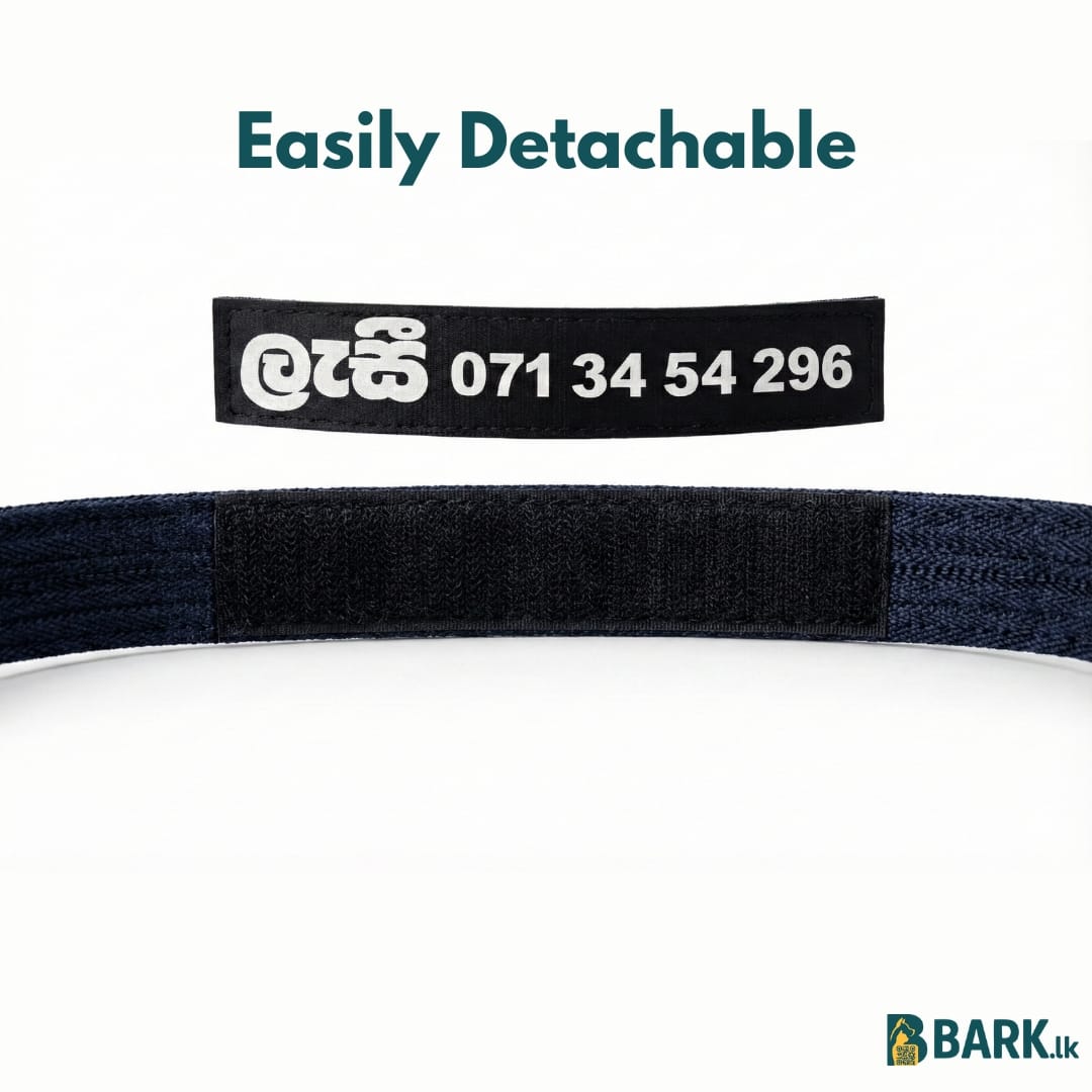 Customized Pet Collars for Dogs: Small — view 6