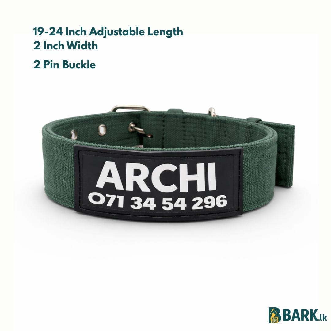 Customized Pet Collars for Dogs: Large — view 2