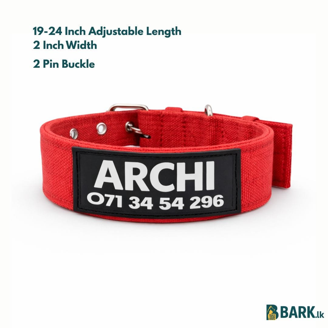 Customized Pet Collars for Dogs: Large — view 3