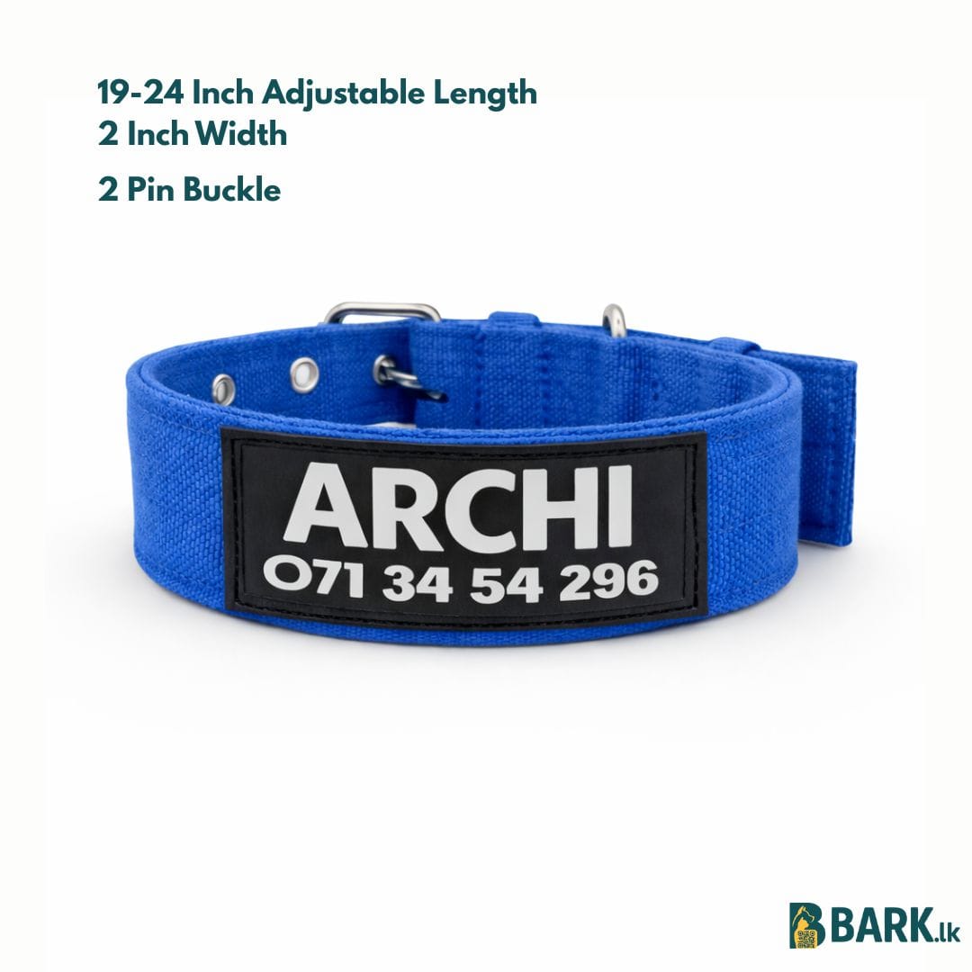 Customized Pet Collars for Dogs: Large — view 4