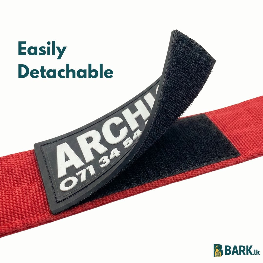 Customized Pet Collars for Dogs: Large — view 5