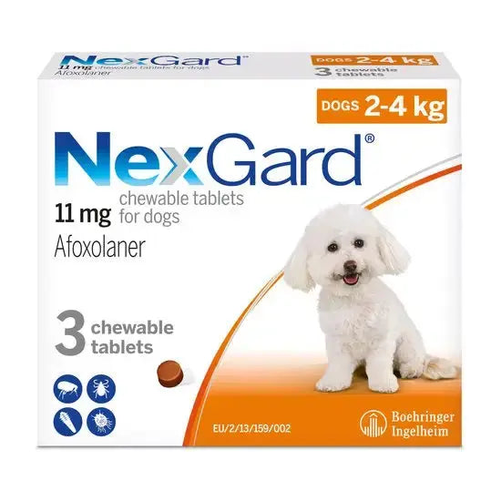 NexGard Flea & Tick Treatment for Small Dogs - 1 Chew (2-4 kg)