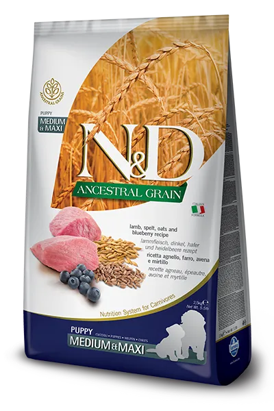 N&D Ancestral Grain Medium & Maxi Puppy Starter Dry Dog Food - 2.5kg