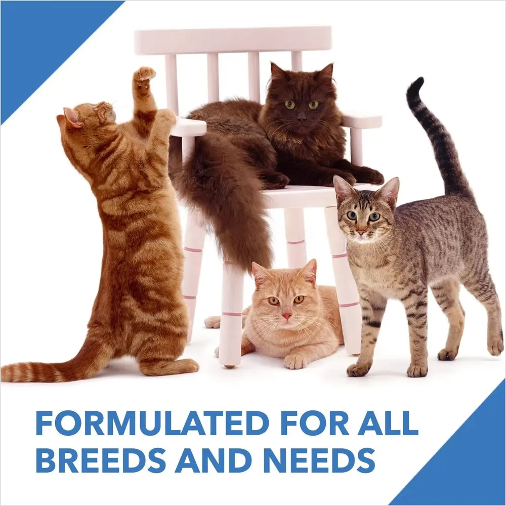 Drools Ocean Fish Adult Cat Food — view 5