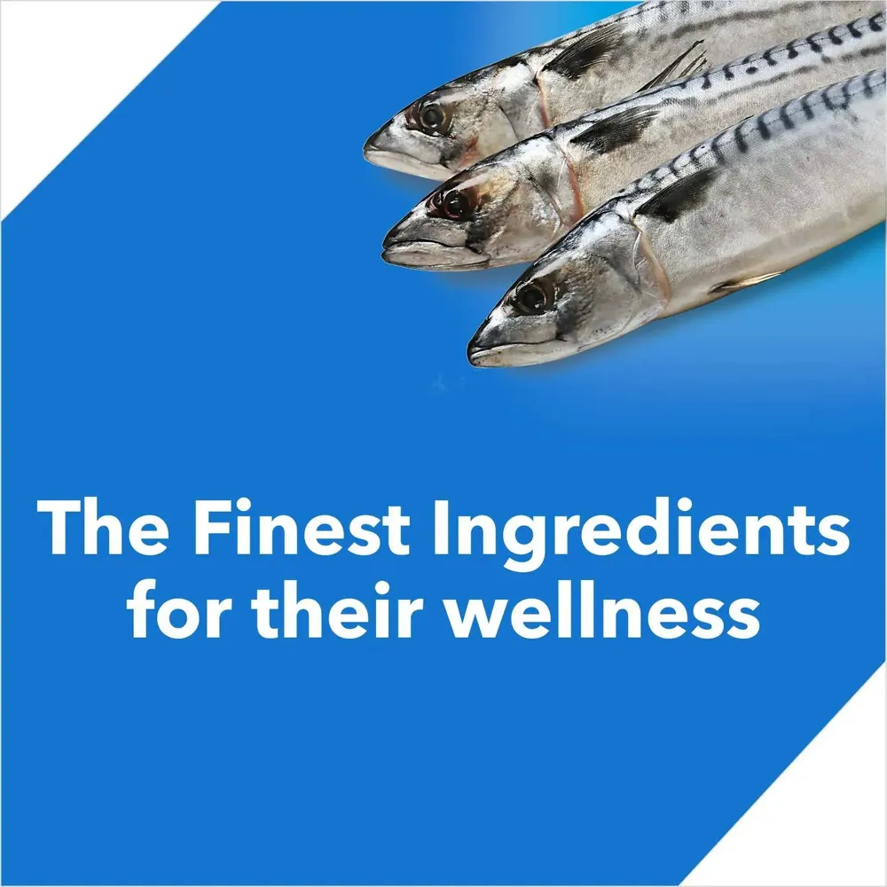 Drools Ocean Fish Adult Cat Food — view 13