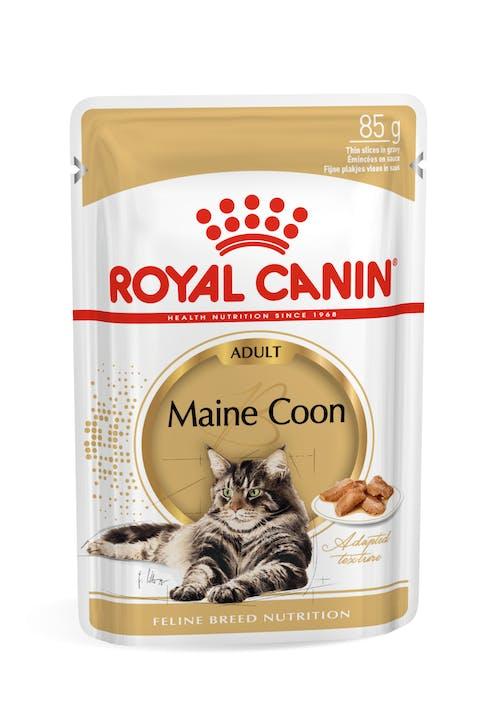 Royal Canin Cat Adult Maine Coon Pouch - 85g