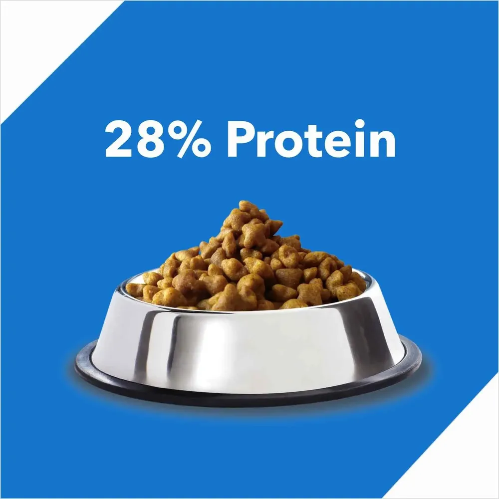 Drools Ocean Fish Adult Cat Food — view 4